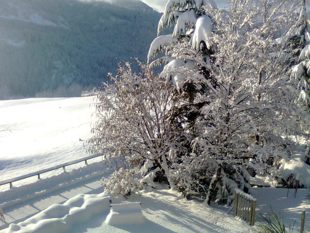 Pichler Casa Castello-Molina di Fiemme